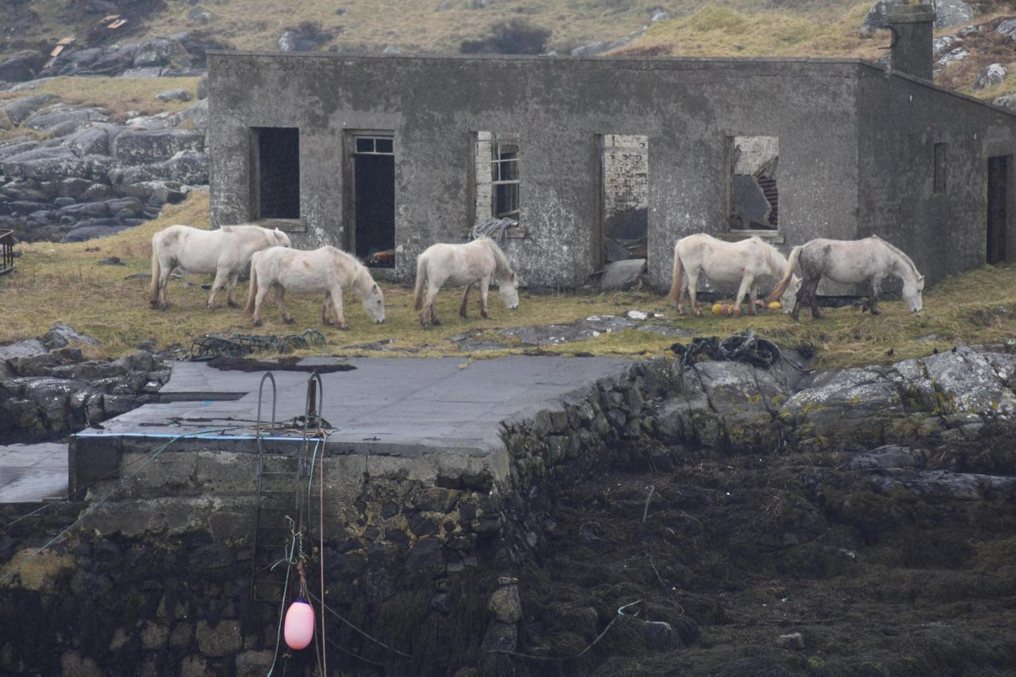 Glamping Pod For 2 Pod Beag Na Haun Eriskay Exterior foto