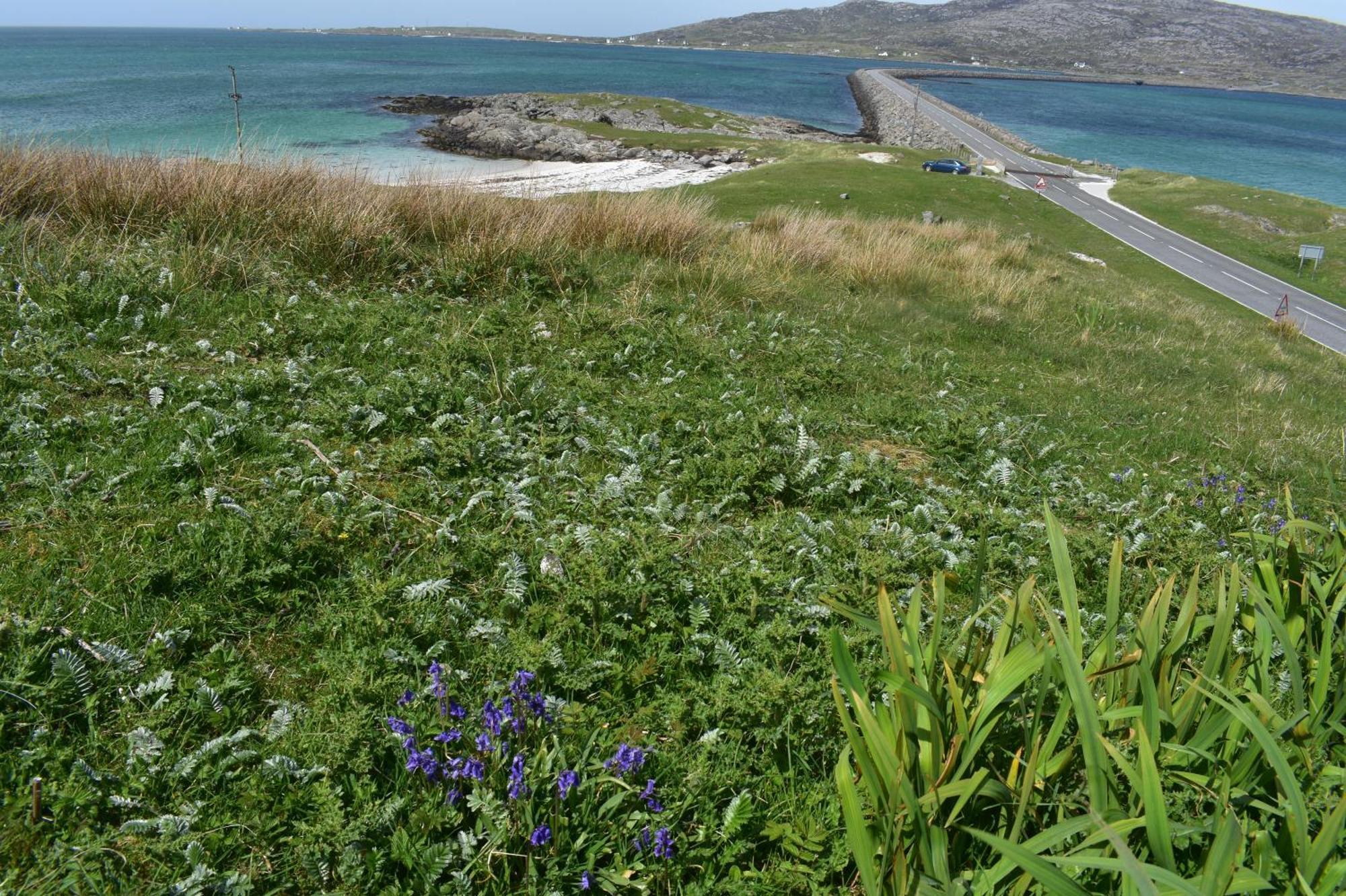 Glamping Pod For 2 Pod Beag Na Haun Eriskay Exterior foto